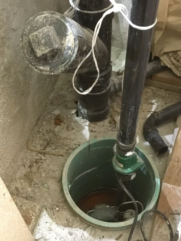 Image2